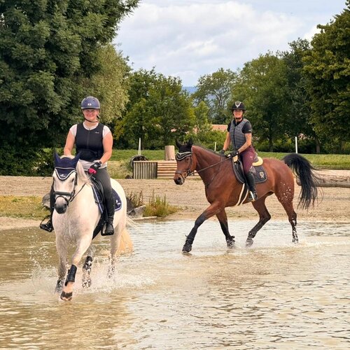 Avenches CC-Training 2026