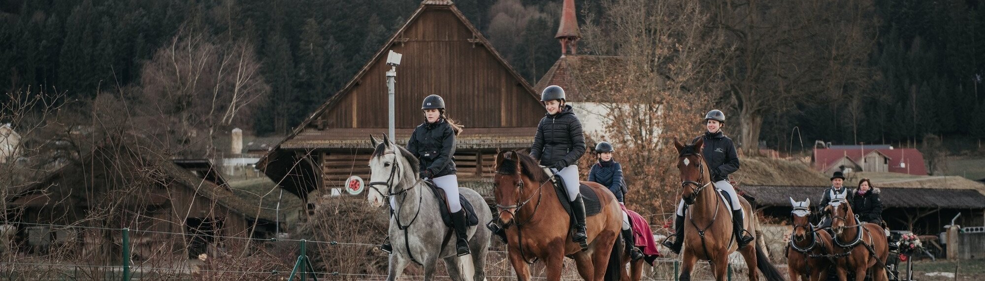 Verein