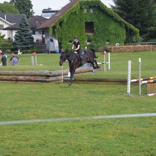 Verein